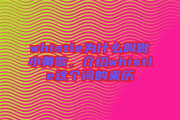 whistle為什么叫做小黃歌，介紹whistle這個(gè)詞的來(lái)歷