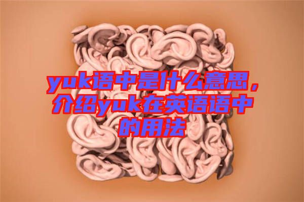 yuk語中是什么意思，介紹yuk在英語語中的用法