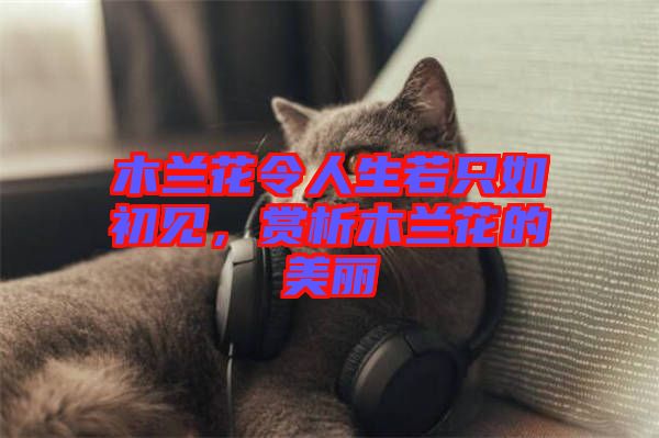 木蘭花令人生若只如初見，賞析木蘭花的美麗