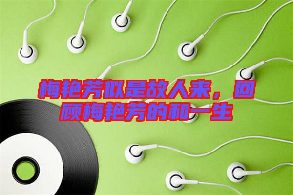 梅艷芳似是故人來，回顧梅艷芳的和一生