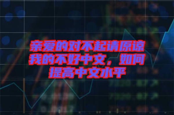 親愛(ài)的對(duì)不起請(qǐng)?jiān)徫业牟缓弥形?，如何提高中文水? width=