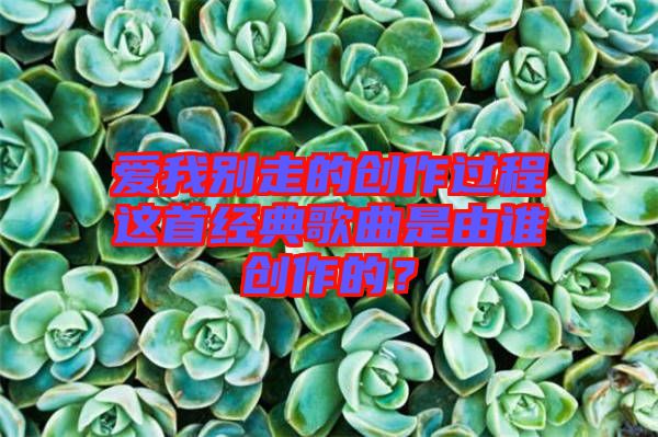 愛(ài)我別走的創(chuàng)作過(guò)程這首經(jīng)典歌曲是由誰(shuí)創(chuàng)作的？