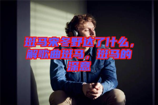 斑馬宋冬野達了什么，解歌曲斑馬，斑馬的深意