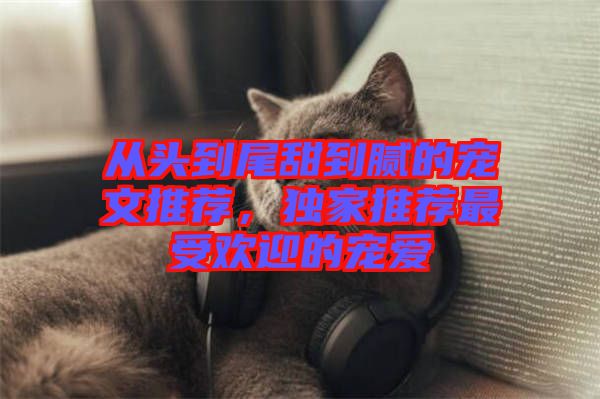 從頭到尾甜到膩的寵文推薦，獨(dú)家推薦最受歡迎的寵愛