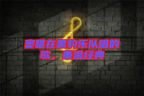 竇唯在黑豹樂隊(duì)唱的歌，重溫經(jīng)典