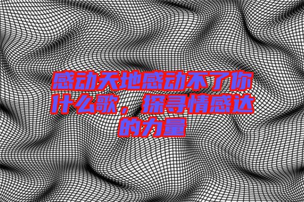 感動(dòng)天地感動(dòng)不了你什么歌，探尋情感達(dá)的力量