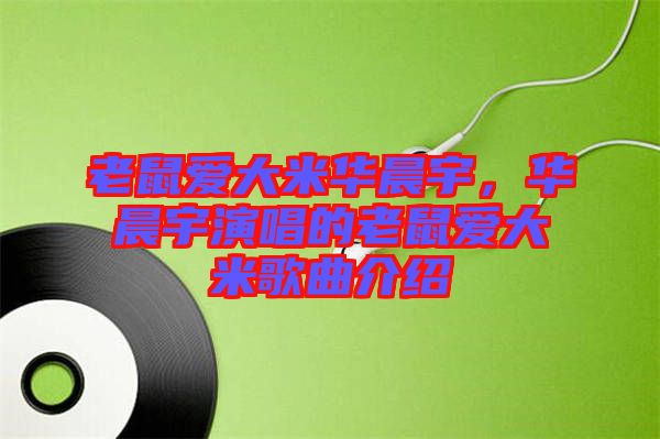 老鼠愛(ài)大米華晨宇，華晨宇演唱的老鼠愛(ài)大米歌曲介紹
