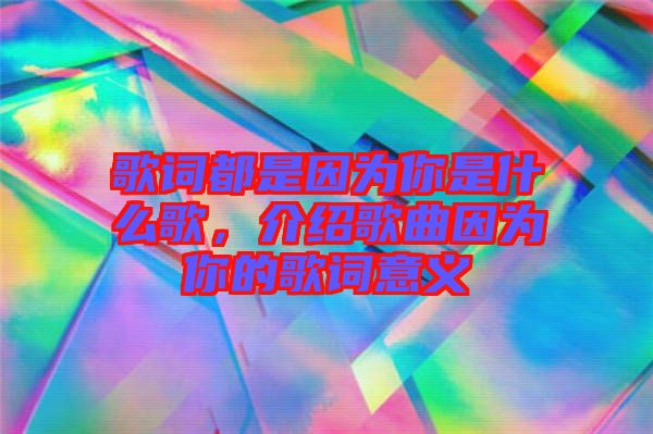 歌詞都是因?yàn)槟闶鞘裁锤?，介紹歌曲因?yàn)槟愕母柙~意義