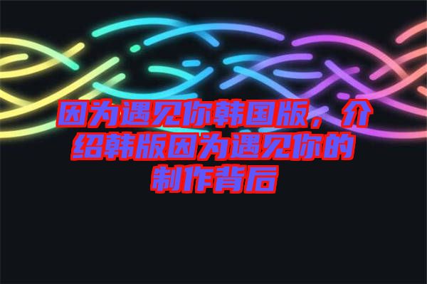 因?yàn)橛鲆娔沩n國版，介紹韓版因?yàn)橛鲆娔愕闹谱鞅澈? width=