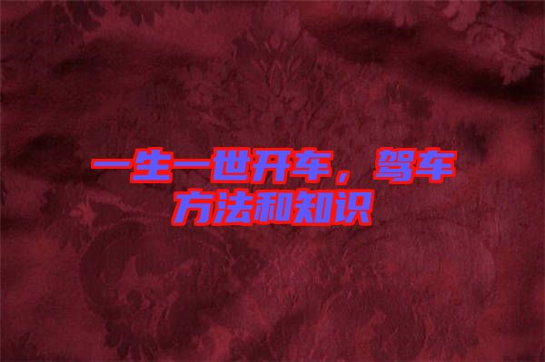 一生一世開車，駕車方法和知識