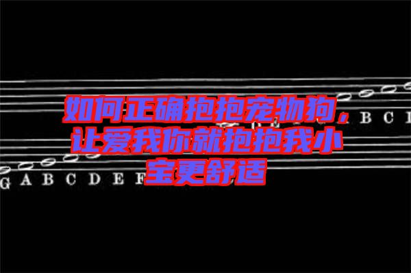 如何正確抱抱寵物狗，讓愛我你就抱抱我小寶更舒適