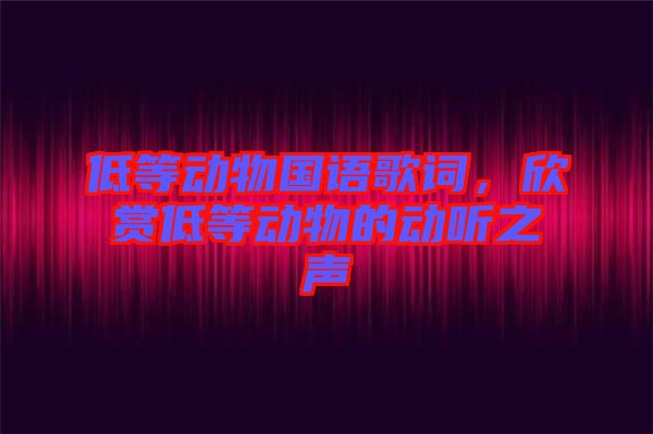 低等動(dòng)物國(guó)語(yǔ)歌詞，欣賞低等動(dòng)物的動(dòng)聽之聲