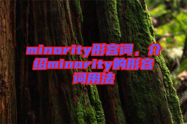 minority形容詞，介紹minority的形容詞用法