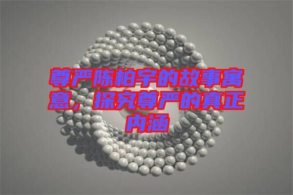 尊嚴(yán)陳柏宇的故事寓意，探究尊嚴(yán)的真正內(nèi)涵