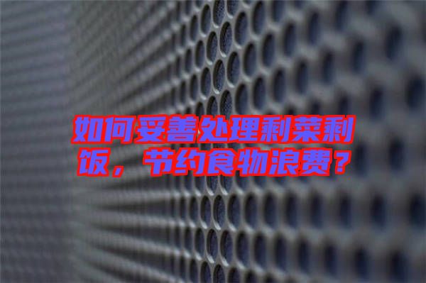 如何妥善處理剩菜剩飯，節(jié)約食物浪費(fèi)？