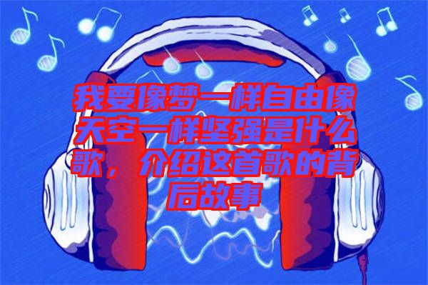 我要像夢一樣自由像天空一樣堅強是什么歌，介紹這首歌的背后故事