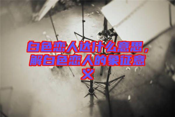 白色戀人達什么意思，解白色戀人的象征意義