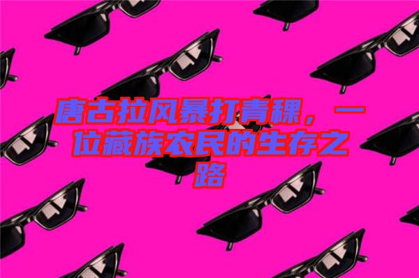 唐古拉風(fēng)暴打青稞，一位藏族農(nóng)民的生存之路
