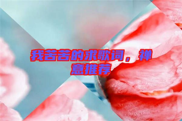 我苦苦的求歌詞，禪意推薦