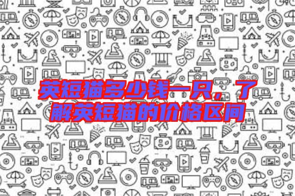 英短貓多少錢一只，了解英短貓的價(jià)格區(qū)間