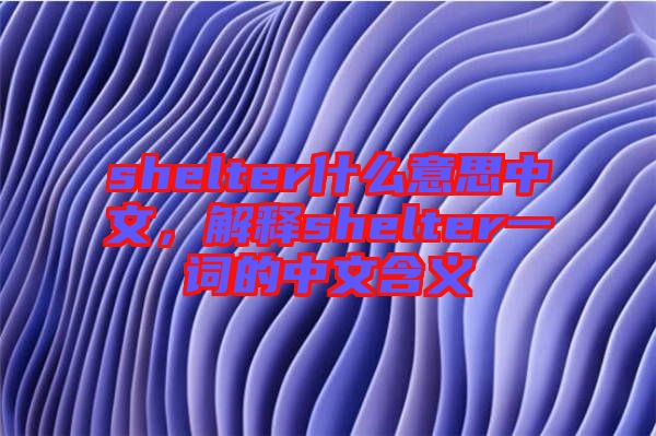 shelter什么意思中文，解釋shelter一詞的中文含義