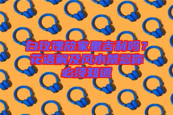 白玫瑰放家里吉利嗎？花語解及風(fēng)水禁忌你必須知道