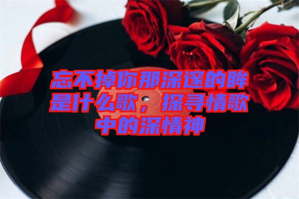 忘不掉你那深邃的眸是什么歌，探尋情歌中的深情神