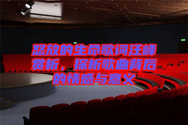 怒放的生命歌詞汪峰賞析，探析歌曲背后的情感與意義