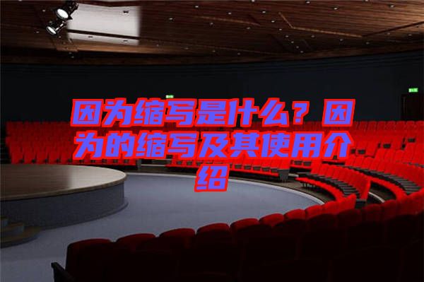 因?yàn)榭s寫是什么？因?yàn)榈目s寫及其使用介紹