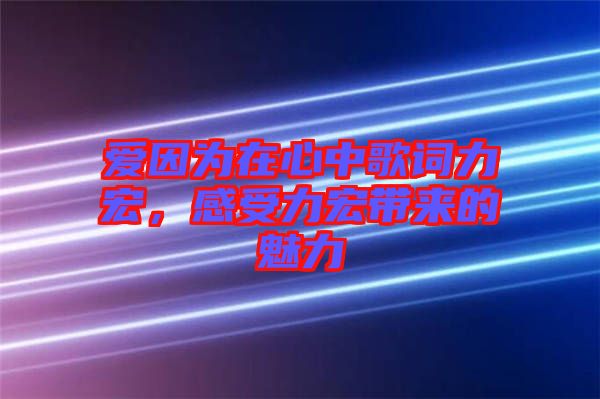 愛因?yàn)樵谛闹懈柙~力宏，感受力宏帶來的魅力