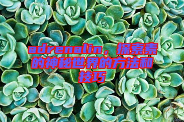 adrenalin，探索素的神秘世界的方法和技巧