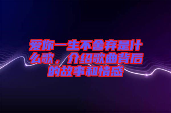 愛(ài)你一生不舍棄是什么歌，介紹歌曲背后的故事和情感