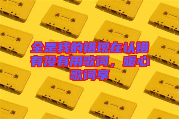 全是我的錯現(xiàn)在認錯有沒有用歌詞，暖心歌詞享