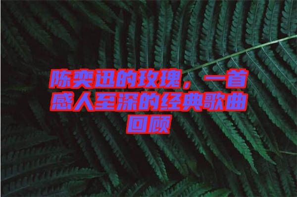陳奕迅的玫瑰，一首感人至深的經(jīng)典歌曲回顧