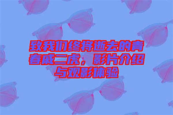 致我們終將逝去的青春戚二虎，影片介紹與觀影體驗(yàn)