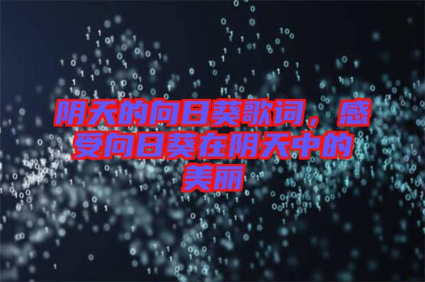 陰天的向日葵歌詞，感受向日葵在陰天中的美麗