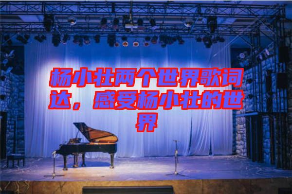 楊小壯兩個(gè)世界歌詞達(dá)，感受楊小壯的世界