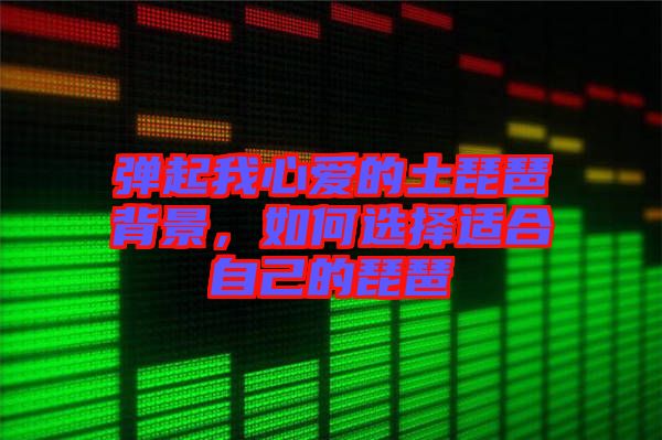 彈起我心愛的土琵琶背景，如何選擇適合自己的琵琶
