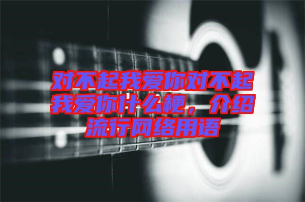 對(duì)不起我愛你對(duì)不起我愛你什么梗，介紹流行網(wǎng)絡(luò)用語