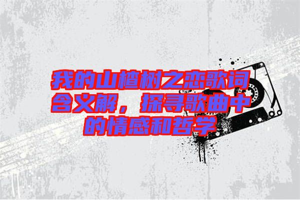 我的山楂樹之戀歌詞含義解，探尋歌曲中的情感和哲學(xué)