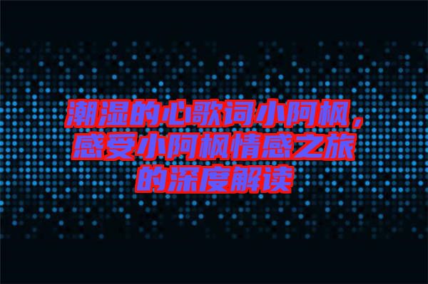 潮濕的心歌詞小阿楓，感受小阿楓情感之旅的深度解讀