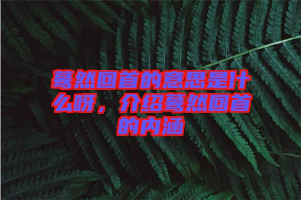 驀然回首的意思是什么呀，介紹驀然回首的內(nèi)涵