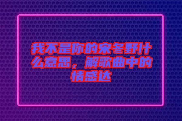 我不是你的宋冬野什么意思，解歌曲中的情感達(dá)