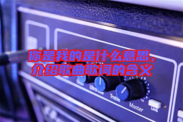 你是我的是什么意思，介紹歌曲歌詞的含義