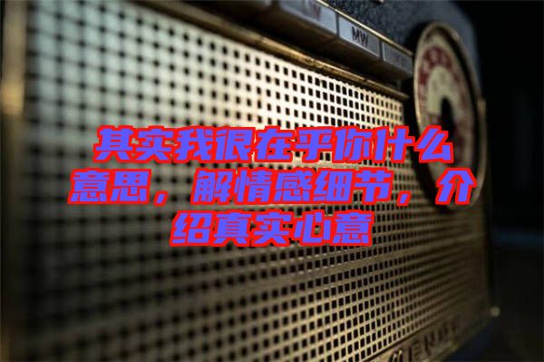 其實我很在乎你什么意思，解情感細節(jié)，介紹真實心意