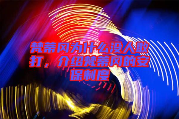 梵蒂岡為什么沒人敢打，介紹梵蒂岡的安保制度