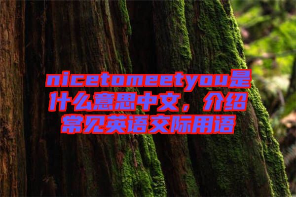 nicetomeetyou是什么意思中文，介紹常見英語交際用語