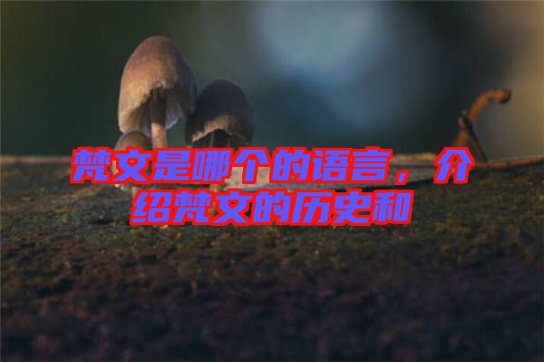 梵文是哪個的語言，介紹梵文的歷史和