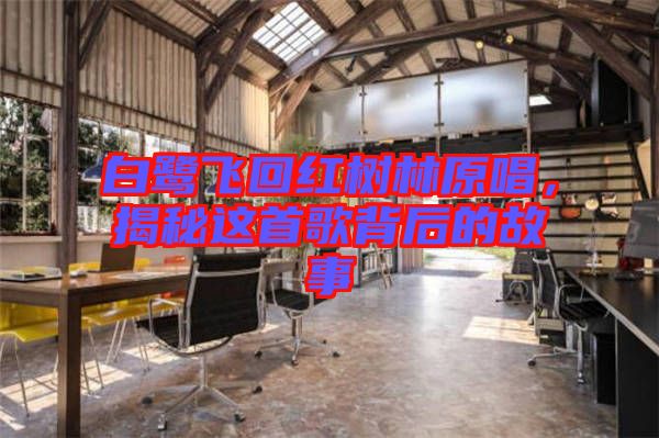 白鷺飛回紅樹林原唱，揭秘這首歌背后的故事