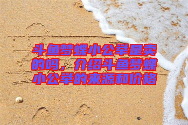 斗魚夢蝶小公舉是賣的嗎，介紹斗魚夢蝶小公舉的來源和價格